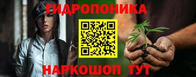 Альфа ПВП Сланцы