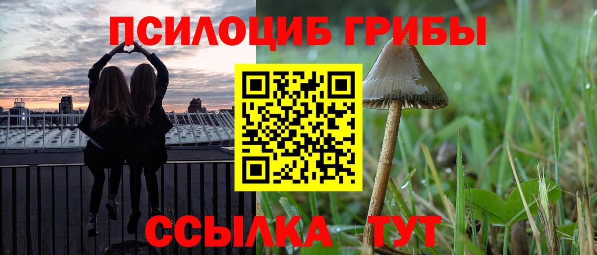 Отрадный  Галлюциногенные грибы MAGIC MUSHROOMS  Псилоцибиновые грибы Psilocybine cubensis  Вход с VPN 