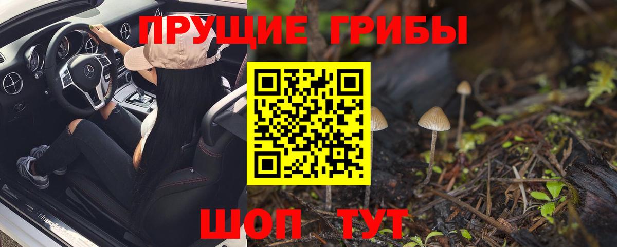 Галлюциногенные грибы GOLDEN TEACHER Отрадный